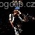 Tom Waits - Virginia Avenue, Tom Waits, Monofonní melodie - Pop světový na mobil - Ikonka